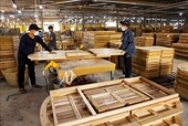 Ngành gỗ khởi động thận trọng, hướng tới xuất khẩu 19 tỷ USD