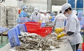 Xuất khẩu thuỷ sản Việt Nam có nguy cơ đứt gãy tại thị trường Trung Đông