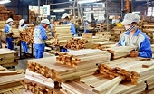Chinh phục 25 tỷ USD: Ngành gỗ Việt Nam cần chuyển đổi sang bền vững