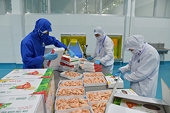 Xung đột Trung Đông: Ngành thủy sản đối mặt chi phí logistics và nhiên liệu tăng