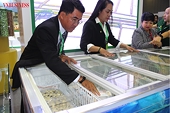 Mỹ siết chuẩn, logistics biến động: Thủy sản Việt xoay trục