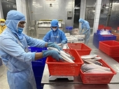 Thủy sản Việt khẳng định vị thế tại thị trường chiến lược EU