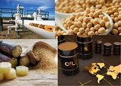 Tác động của phong tỏa Eo biển Hormuz đến xuất khẩu nông sản Việt Nam