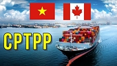 Kim ngạch thương mại Việt Nam - Canada tăng 20,5% so với cùng kỳ