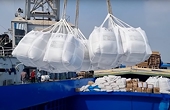 Xuất khẩu gạo, tiêu thụ lúa gặp khó