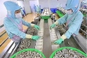 Xuất khẩu thủy sản: Mở rộng thị trường, thích ứng biến động địa chính trị