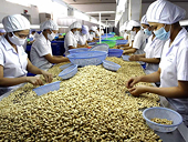 Đa dạng thị trường, giảm rủi ro xuất khẩu nông sản