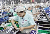 Cước vận tải đội giá 30–40%, doanh nghiệp gỗ căng mình giữ đơn hàng