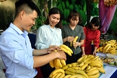 220 tấn chuối tươi Đồng Nai lên đường xuất khẩu ra nước ngoài