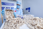 Cảnh báo đối với Quy định của Trung Quốc về quản lý đăng ký doanh nghiệp nước ngoài đối với thực phẩm nhập khẩu