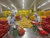 Cơ hội cho doanh nghiệp Việt tăng tốc xuất khẩu vào Halal