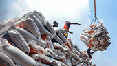 Xuất khẩu phân bón Việt Nam tăng vọt trong quý I, Đông Nam Á là điểm sáng