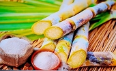 Đường "ngoại" tiếp tục chi phối thị trường mía đường "nội"