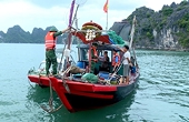 Siết quản lý IUU, gỡ “thẻ vàng” để bảo vệ xuất khẩu thủy sản
