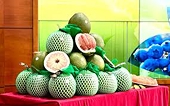 Ký nghị định thư xuất khẩu bưởi, chanh sang Trung Quốc