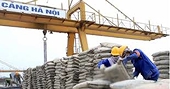 Xuất khẩu xi măng và clinker duy trì xu hướng tăng trưởng ổn định trong quý I