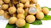 Xuất khẩu nhãn sang châu Âu hóa 'hàng hiệu', thu chục triệu USD