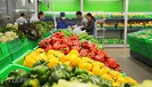 Xuất khẩu rau quả đón cơ hội bứt tốc