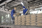 Xuất khẩu xi măng và clinker trong quý I/2026 đạt gần 10 triệu tấn
