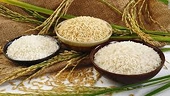 Gạo - Philipines điều tra áp dụng biện pháp tự vệ