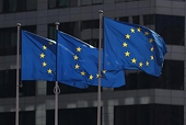 Số liệu các vụ điều tra chống bán phá giá, chống trợ cấp và biện pháp tự vệ do EU tiến hành trong năm 2022