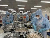 Vasep khuyến nghị doanh nghiệp thủy sản sau cảnh báo về sở hữu trí tuệ từ Hoa Kỳ