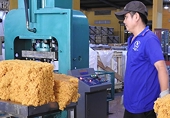 Xuất khẩu cao su đối mặt nhiều sức ép trong bối cảnh cạnh tranh gia tăng