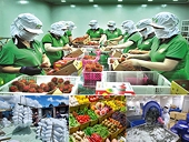 Xuất khẩu nông sản chuyển mạnh từ "lượng" sang "chất" làm nền tảng cạnh tranh