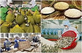 RCEP mở rộng cơ hội nhưng cũng đặt ra yêu cầu cao với nông sản Việt