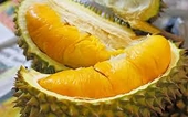 Sầu riêng Việt Nam đã sẵn sàng “gõ cửa” thị trường Ấn Độ trong tháng 7