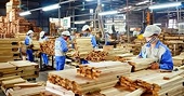 Nhận diện rõ vấn đề để gỗ Việt nâng cao giá trị xuất khẩu
