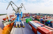 Xây dựng các giải pháp điều hành linh hoạt, mở rộng thị trường xuất khẩu mới