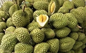 Cần sớm khơi thông "luồng xanh" xuất khẩu sầu riêng