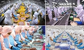 Xuất khẩu thủy sản: Từ phục hồi đến nâng cao giá trị