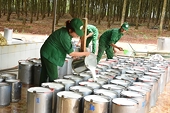 Kiến nghị gỡ khó để định vị thương hiệu “cao su Việt Nam” xuất khẩu