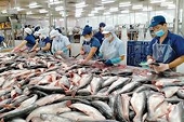 Sẽ sửa 2 thông tư để gỡ vướng xuất khẩu thủy sản