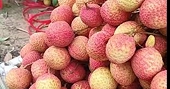 Giá vải 'nhảy múa', doanh nghiệp lo không đủ hàng xuất khẩu
