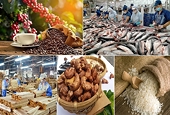 Đơn đặt hàng mới gia tăng, xuất khẩu phục hồi