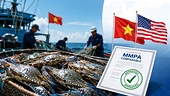 Thủy sản Việt Nam tại Mỹ: Ghẹ đón cơ hội mở rộng thị phần, tôm và cá ngừ nhiều thách thức