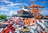 Xuất khẩu thủy sản tăng hơn 10%, ghẹ rộng cửa vào Mỹ, tôm tiếp tục chịu sức ép