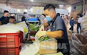Xuất khẩu nông sản: Chuẩn hóa chuỗi cung ứng, vượt rào cản kỹ thuật SPS