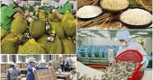 Từ 17-7, nhiều mặt hàng nhập khẩu phải kiểm tra an toàn thực phẩm