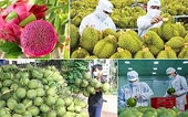 Rau quả Việt Nam duy trì đà tăng trưởng ấn tượng