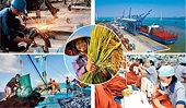 Việt Nam đang gặp áp lực hay bước vào chu kỳ tăng trưởng mới khi nhập siêu trở lại?