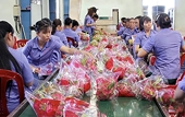 Cơ hội mới cho xuất khẩu sang Nam Mỹ