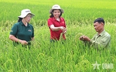 Mở rộng giá trị nông nghiệp qua xuất khẩu giống cây trồng