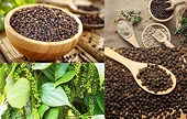 Hồ tiêu Việt Nam đón cơ hội lớn từ thị trường Trung Đông, Nam Á