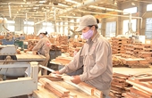Mỹ đánh thuế hơn 200% lên mặt hàng tỷ USD của Việt Nam, xuất khẩu lập tức giảm tốc