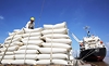 Doanh nghiệp gạo nâng năng lực đáp ứng tiêu chuẩn để khai thác EVFTA