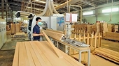 Doanh nghiệp xuất khẩu lâm sản không phải nộp Bảng kê
